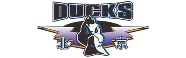 媒体人：北京男篮还需1个能砍分的小外 才有足够竞争力冲击总冠军